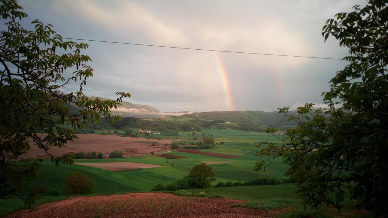 Farm stay L'oasi
