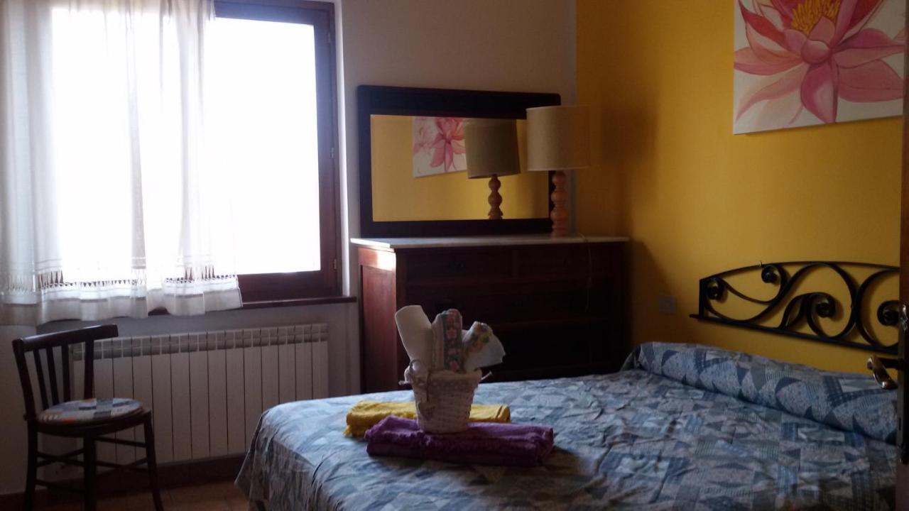 L'oasi *